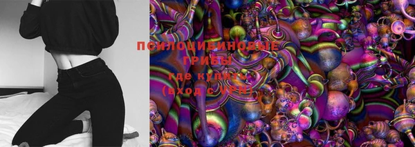 apvp Богданович
