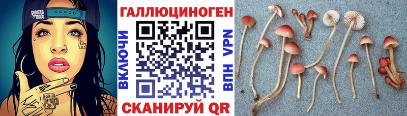 хочу МЕГА маркетплейс Псилоцибиновые грибы Psilocybe Верхняя Тура